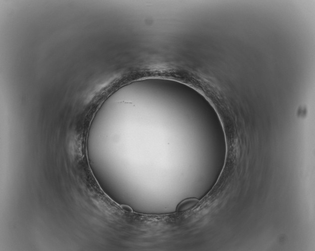 X0000089361205200706221153