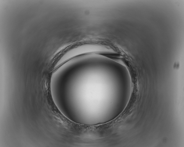 X0000089361206200706221153