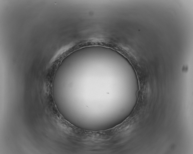X0000089361207200706221153