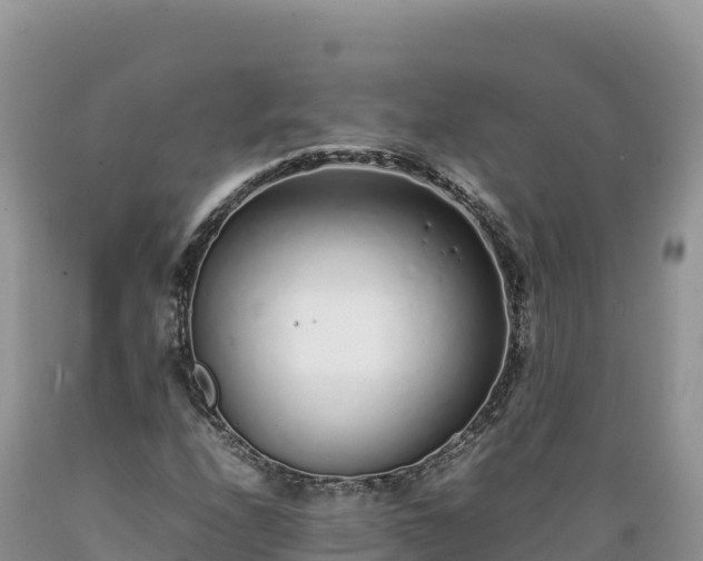 X0000089361208200706221153