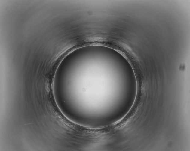 X0000089361209200706221153