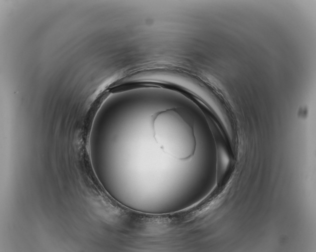 X0000089361210200706221153