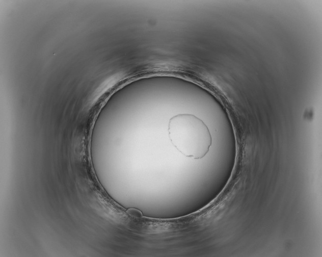 X0000089361211200706221153