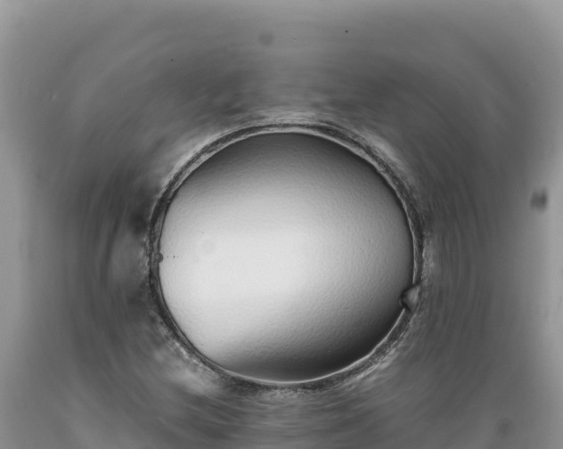 X0000089361212200706221153