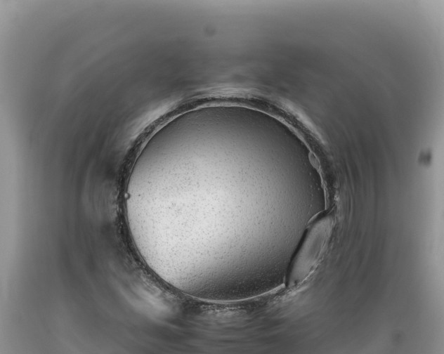 X0000089361213200706221153