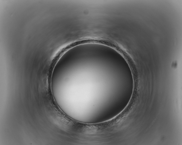 X0000089361214200706221153