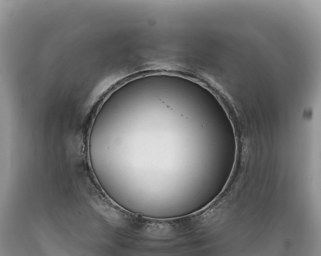 X0000089361215200706221153
