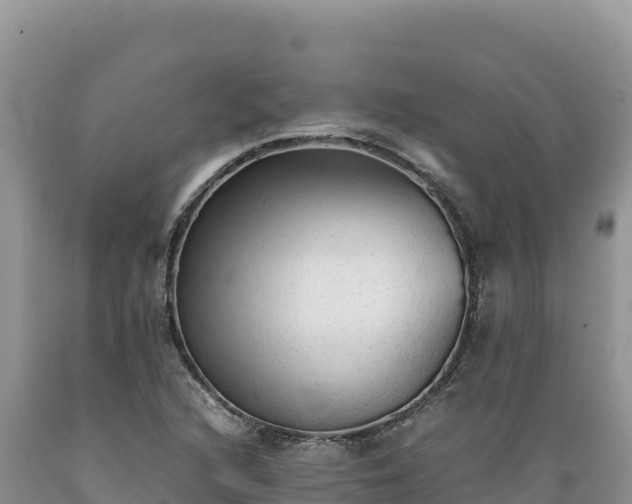 X0000089361216200706221153