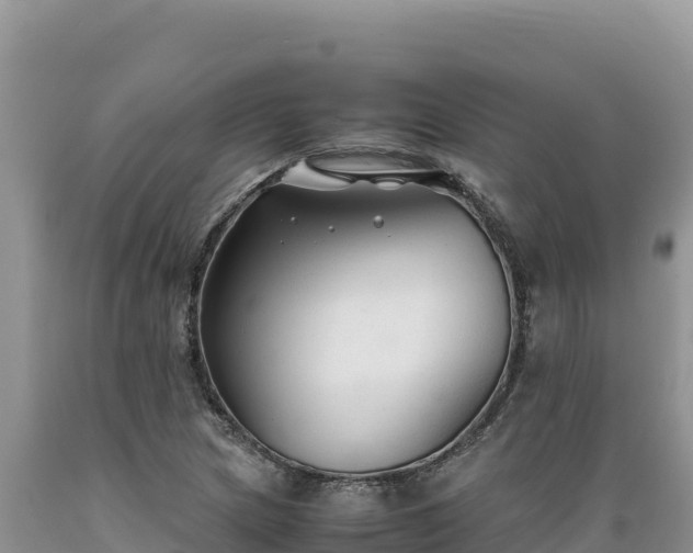 X0000089361217200706221153