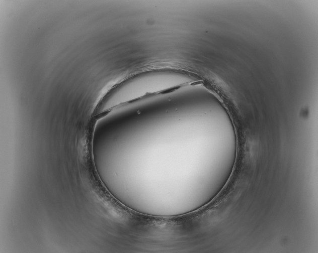 X0000089361218200706221153