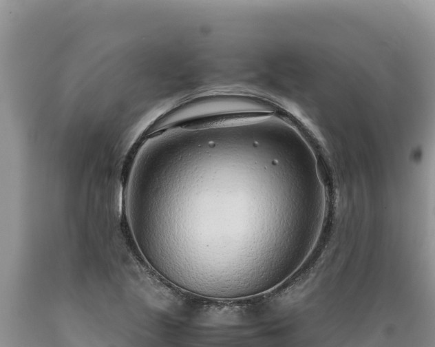 X0000089361221200706221153