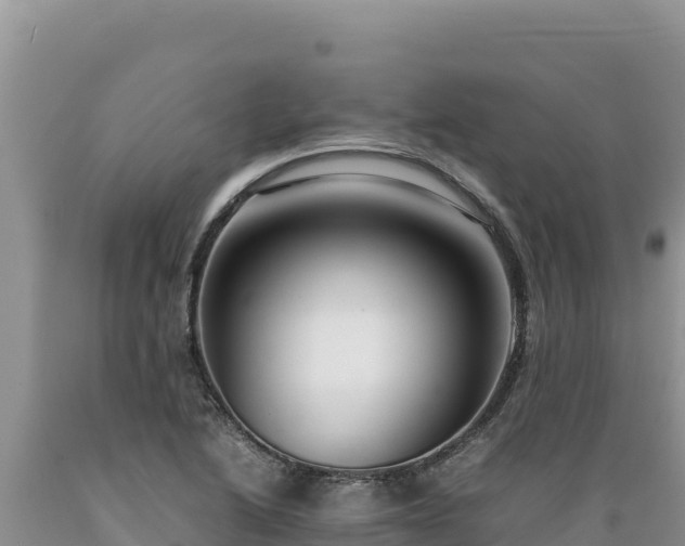 X0000089361222200706221153