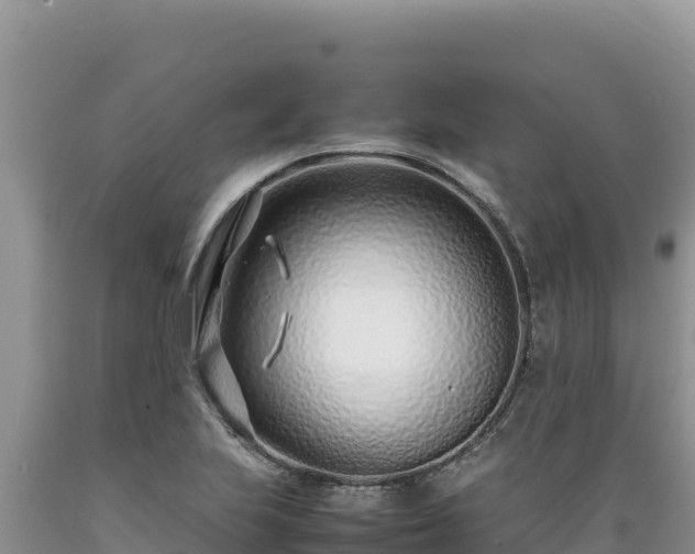 X0000089361223200706221153