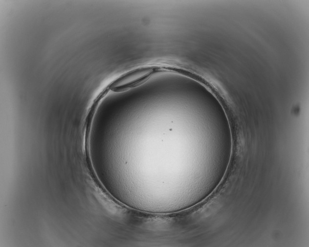 X0000089361224200706221153