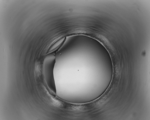 X0000089361225200706221153