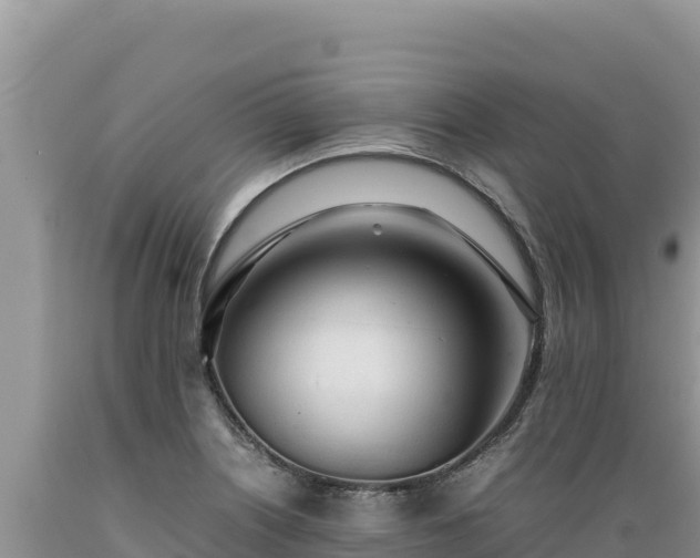 X0000089361226200706221153