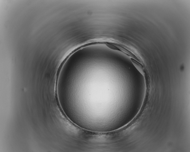 X0000089361228200706221153