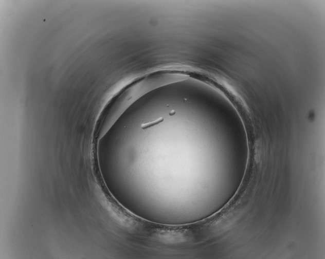 X0000089361229200706221153
