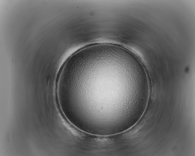 X0000089361231200706221153