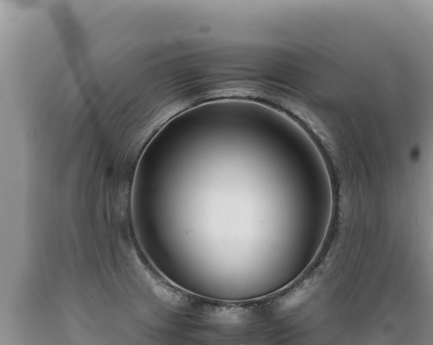 X0000089361233200706221153