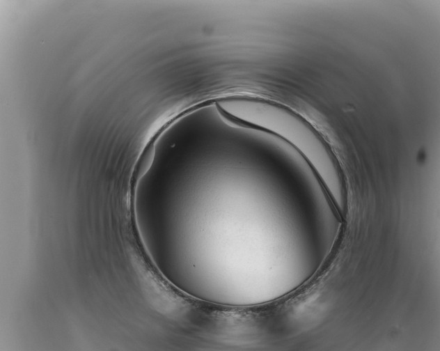 X0000089361234200706221153