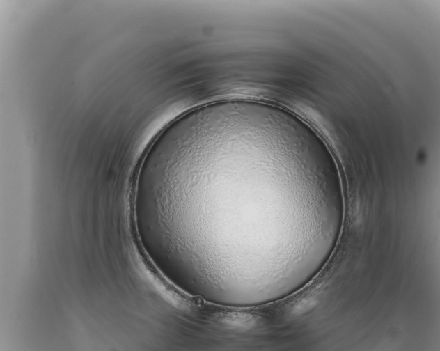 X0000089361235200706221153