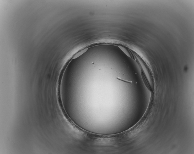 X0000089361237200706221153