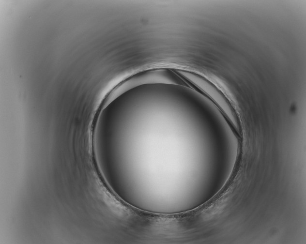 X0000089361238200706221153