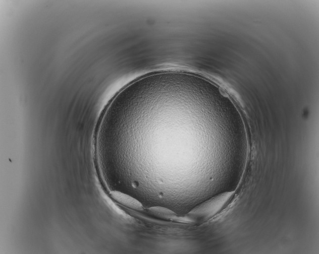 X0000089361239200706221153