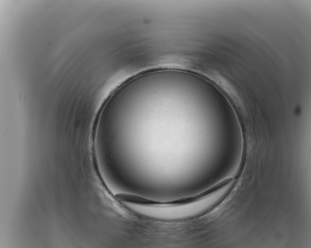 X0000089361240200706221153