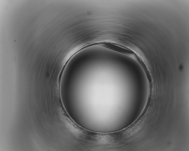 X0000089361242200706221153