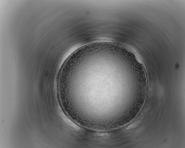 X0000089361243200706221153