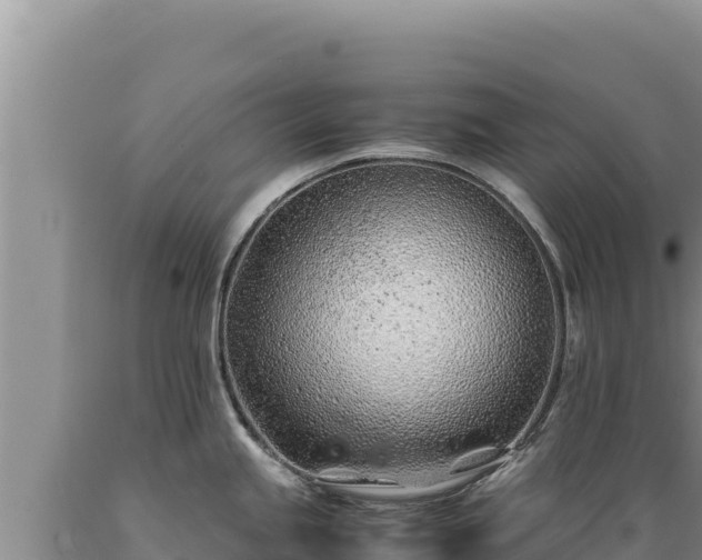 X0000089361245200706221153