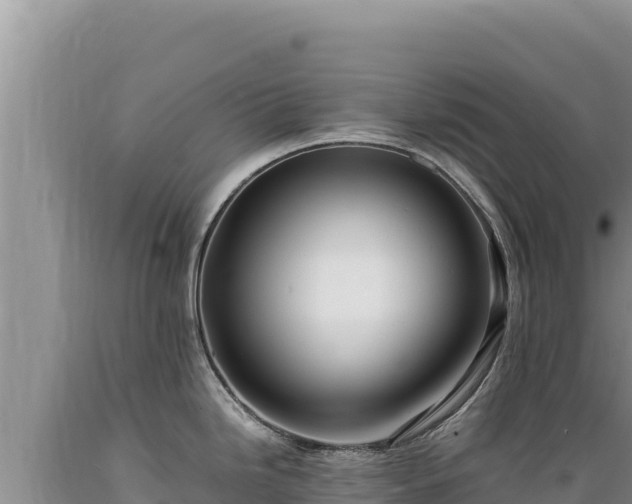 X0000089361246200706221153