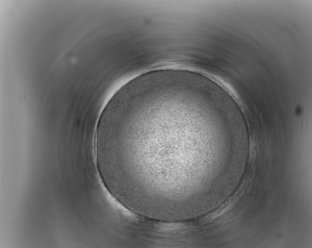 X0000089361247200706221153