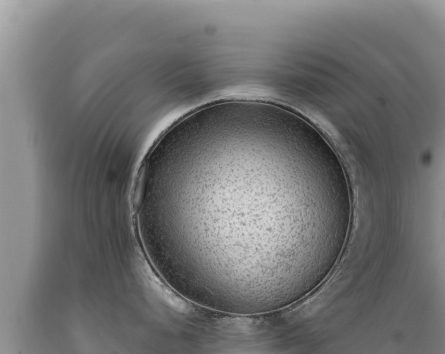 X0000089361248200706221153
