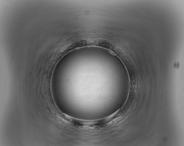 X0000089361249200706221152