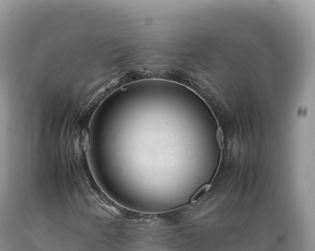 X0000089361250200706221152