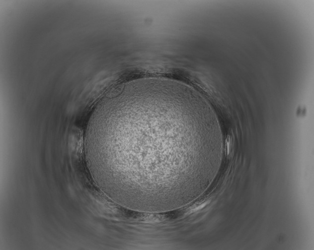 X0000089361251200706221152
