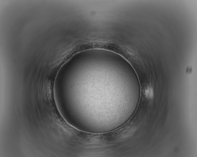 X0000089361252200706221152