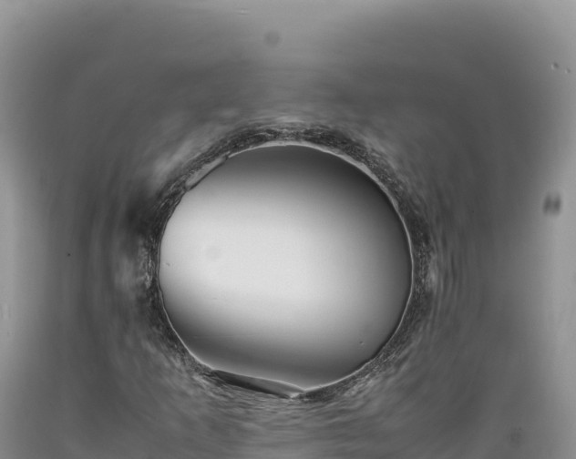 X0000089361253200706221152
