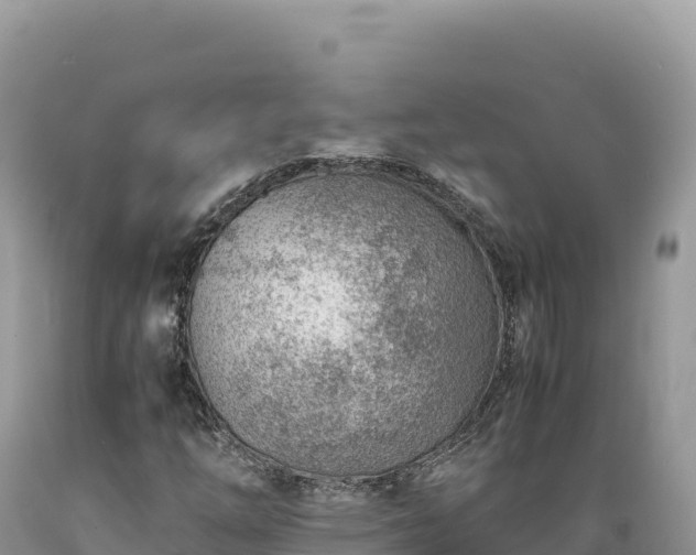 X0000089361254200706221152