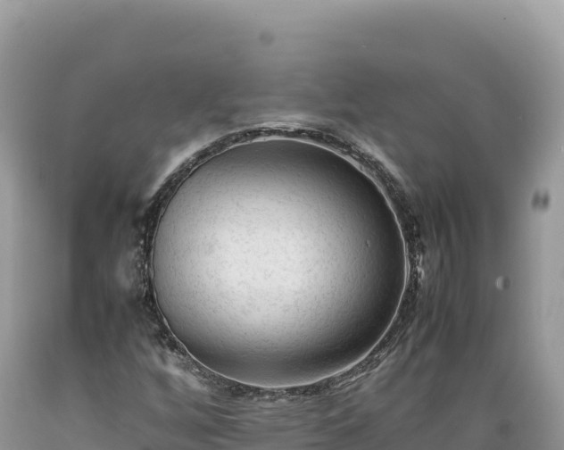 X0000089361256200706221152