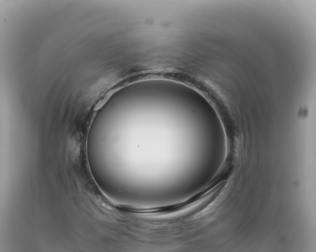 X0000089361257200706221152