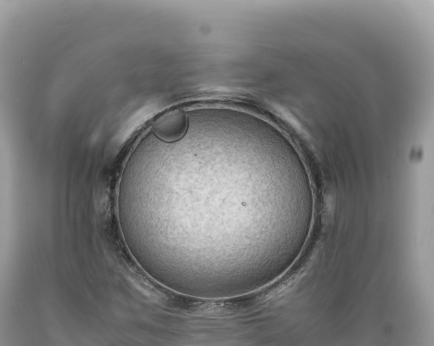 X0000089361259200706221152