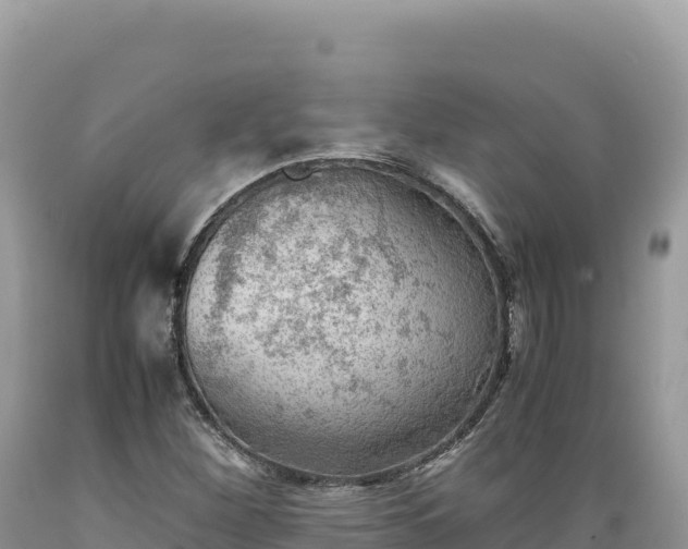 X0000089361260200706221152