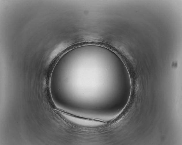 X0000089361261200706221152