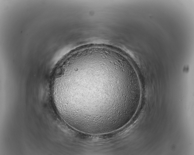 X0000089361263200706221152