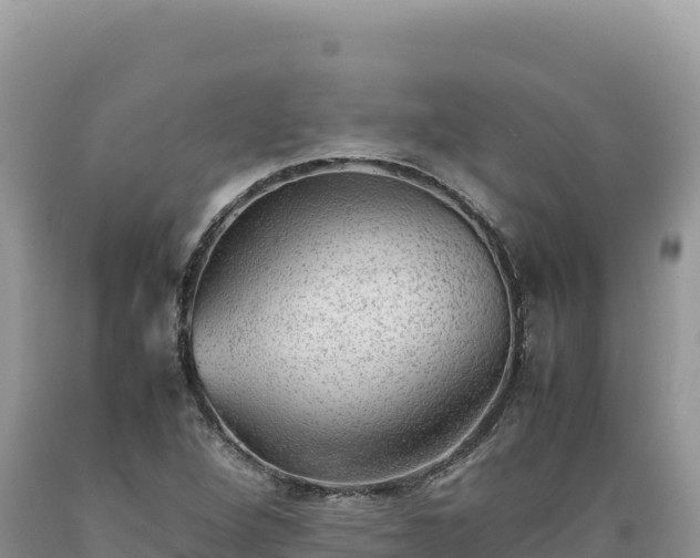 X0000089361264200706221152