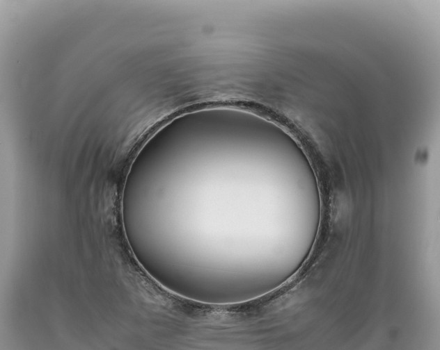 X0000089361265200706221152
